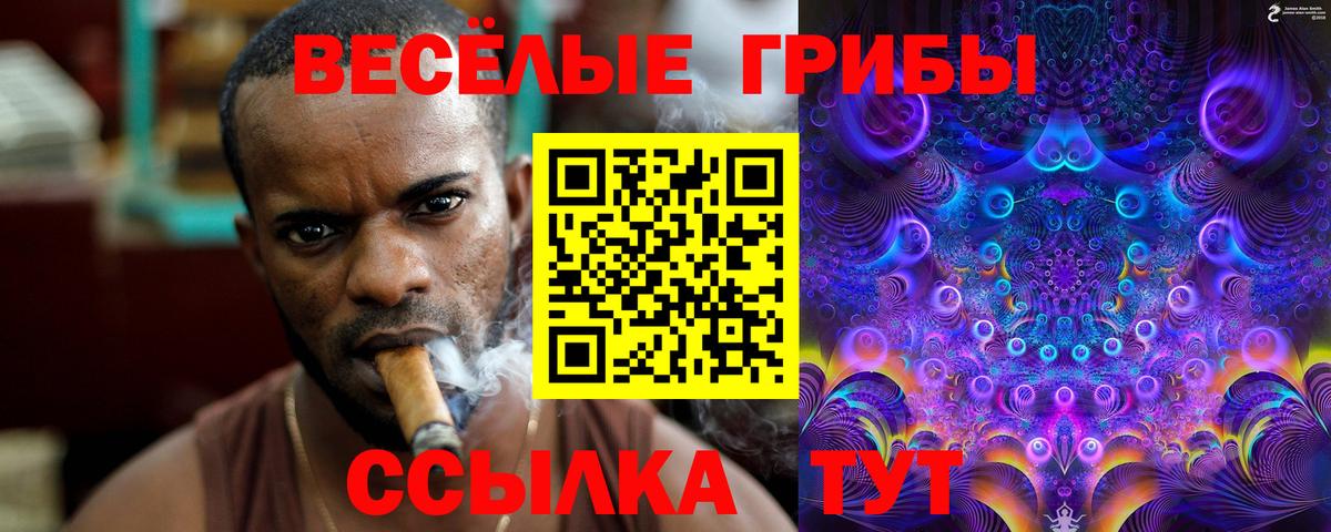 Псилоцибиновые грибы MAGIC MUSHROOMS  Вход с VPN  Сосновый Бор 